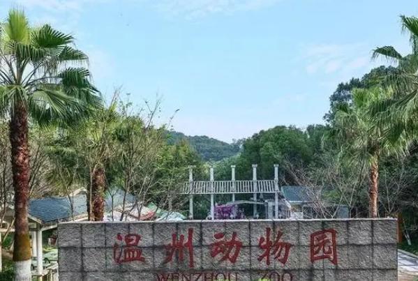 四海云游温州旅游路线正规吗具体景点攻略。(图2)
