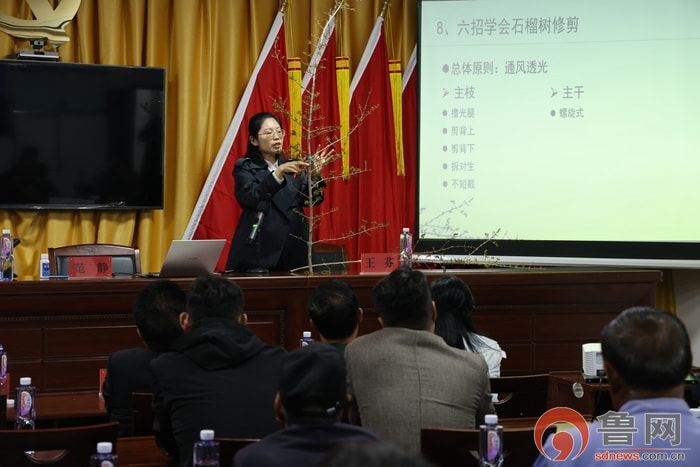 枣庄市市中区税郭镇：开展石榴种植技术培训 激发乡村振兴活力(图2)