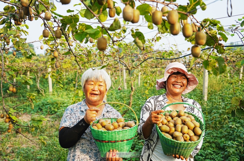 “稀罕物”里掘金(图2)