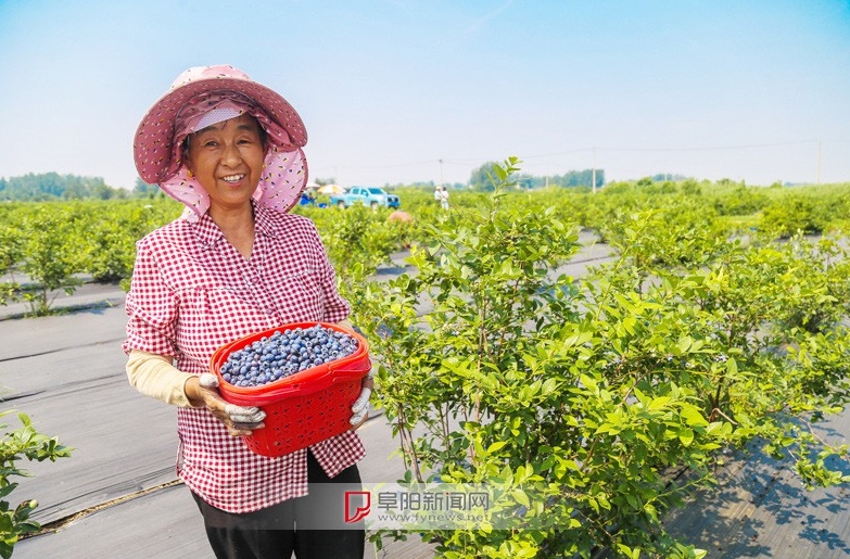 “稀罕物”里掘金(图3)