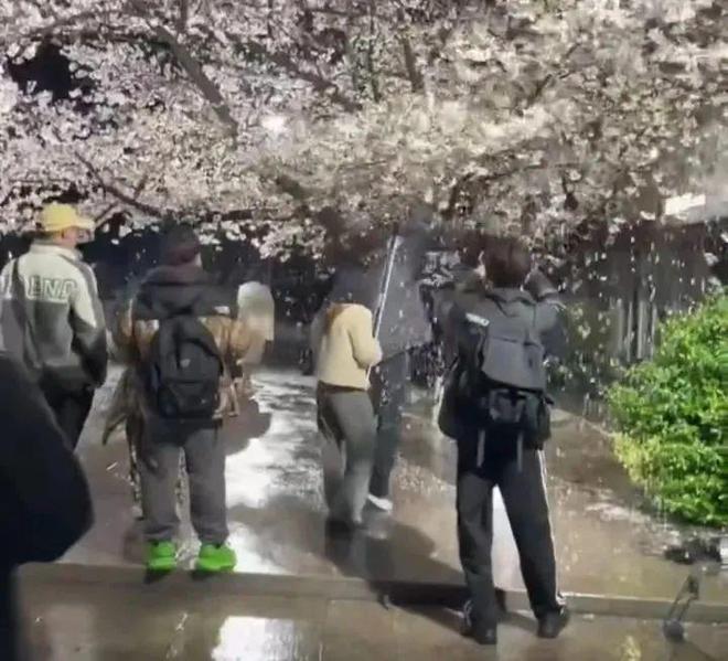 前体操冠军吴柳芳事件后续：账号被禁止关注其公司曾破坏百年树(图18)