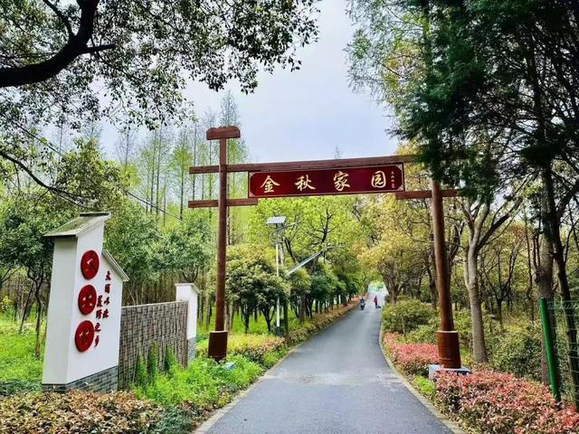 镜头下的“长寿村”来看“银发摄影师”的诗意写生(图6)
